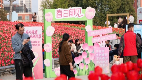 “沪七条”新政赋能，共话桃浦产城融合宜居置业新机遇