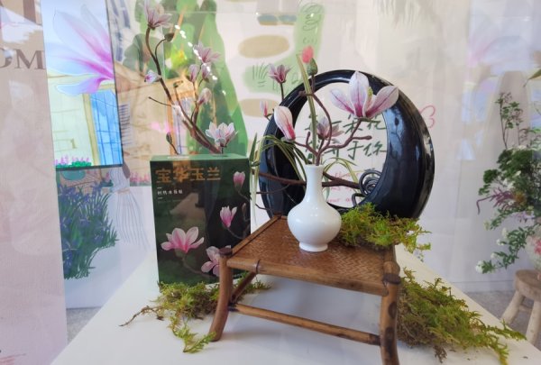 因为珍稀濒危所以要保护?上海植物文创渴望“出圈”换种方式讲故事