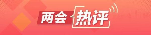 两会热评 | 大省挑大梁，“新”题何解？