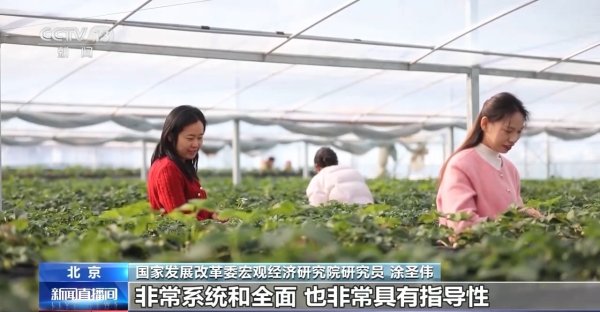 视频丨“十五五”“三农”新目标：主动应变 稳中求进