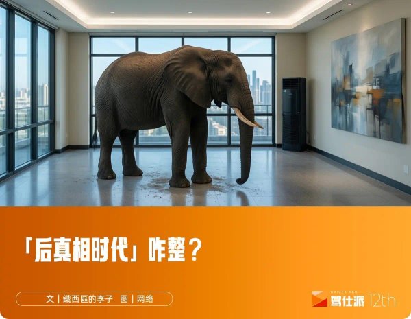 没有315，对我很重要｜李子曰