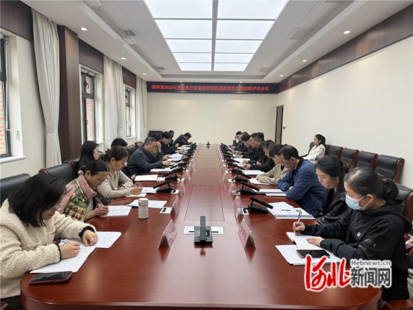 深泽县召开县直行业党委书记抓基层党建工作述职评议会
