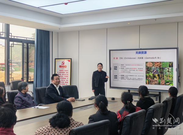 湖北中医药大学：科技赋能中药振兴，青春点亮荆楚药乡