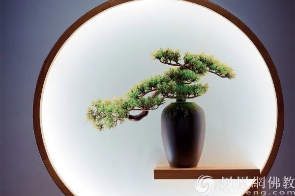 一日禅：得失成败皆过往