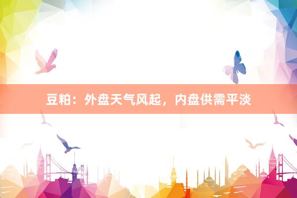 豆粕：外盘天气风起，内盘供需平淡