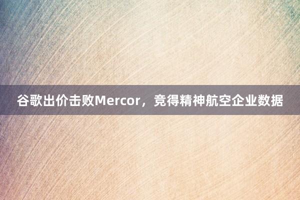 谷歌出价击败Mercor，竞得精神航空企业数据