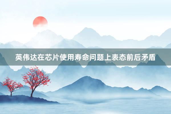 英伟达在芯片使用寿命问题上表态前后矛盾
