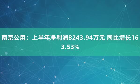 南京公用：上半年净利润8243.94万元 同比增长163.53%