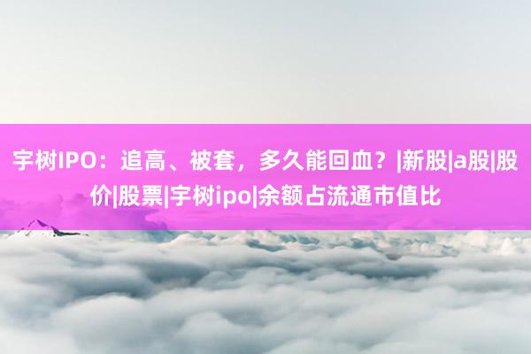 宇树IPO：追高、被套，多久能回血？|新股|a股|股价|股票|宇树ipo|余额占流通市值比