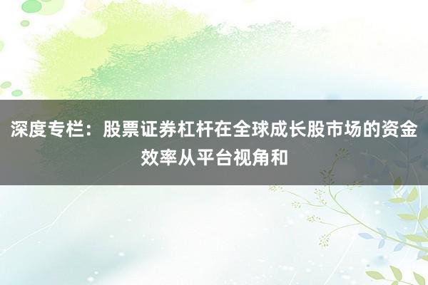 深度专栏：股票证券杠杆在全球成长股市场的资金效率从平台视角和