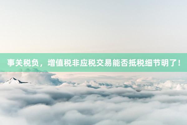 事关税负，增值税非应税交易能否抵税细节明了！