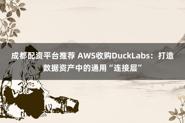 成都配资平台推荐 AWS收购DuckLabs：打造数据资产中的通用“连接层”