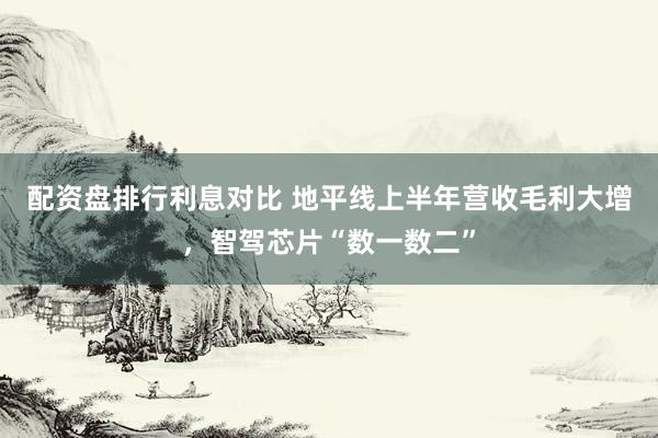 配资盘排行利息对比 地平线上半年营收毛利大增，智驾芯片“数一数二”