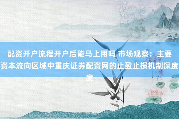 配资开户流程开户后能马上用吗 市场观察：主要资本流向区域中重庆证券配资网的止盈止损机制深度