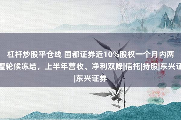 杠杆炒股平仓线 国都证券近10%股权一个月内两次遭轮候冻结，上半年营收、净利双降|信托|持股|东兴证券